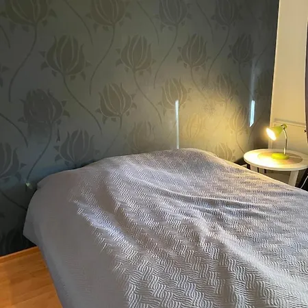 Haavikuja Apartment